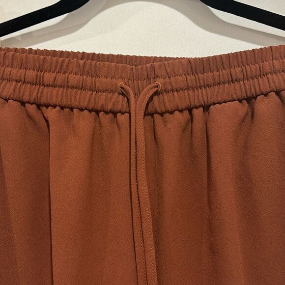 Express Rust Color Jogger Pants - Size XS. - Picture 5 of 9